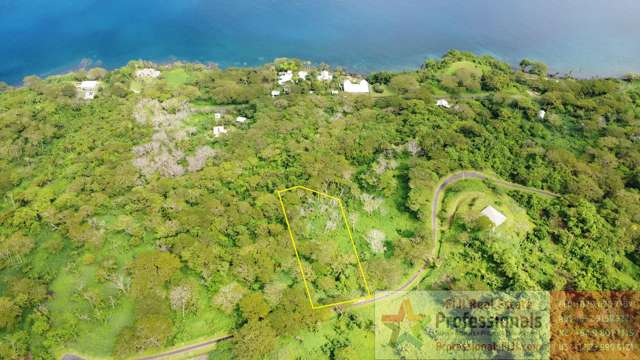 Over three-quarters of an acre of FREEHOLD land near the sea on Fiji's Garden Island!