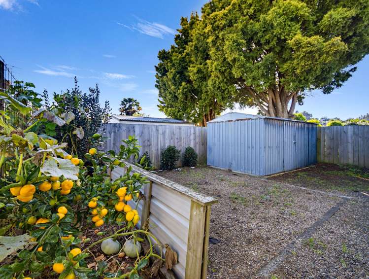 86 Haerehuka Street Otorohanga_20