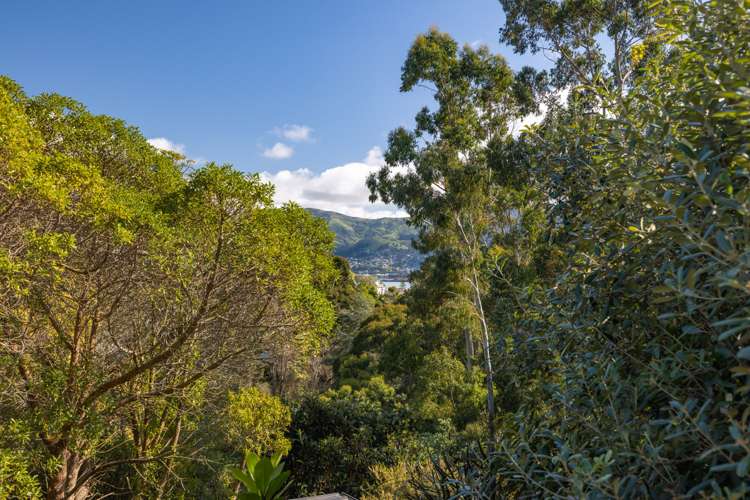 22 Marine Drive Diamond Harbour_22