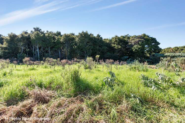 52 Pebble Beach Boulevard Kamo_16