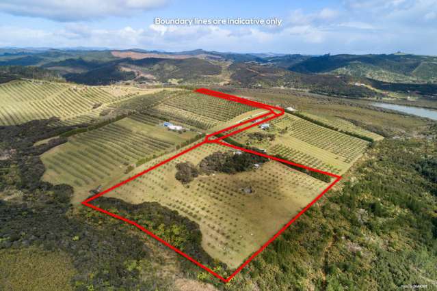 125c Frantoio Ridge Road Mangonui_1