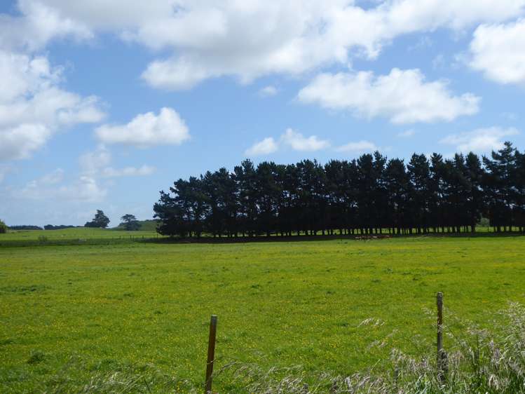 237 Kellow Road Rongotea_5