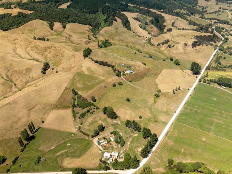 Tadmor-Bushend Road Tapawera_14