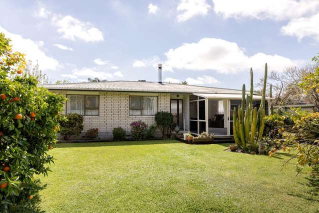 7 Maitland Street Greerton_2