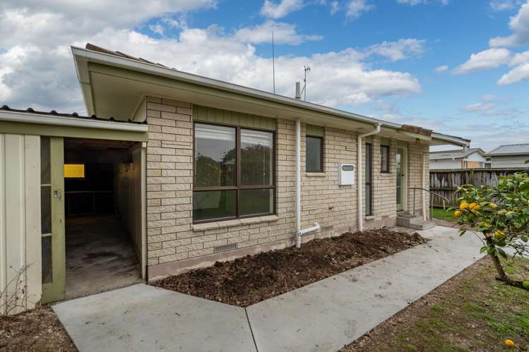 52a Ascot Road Chartwell_9