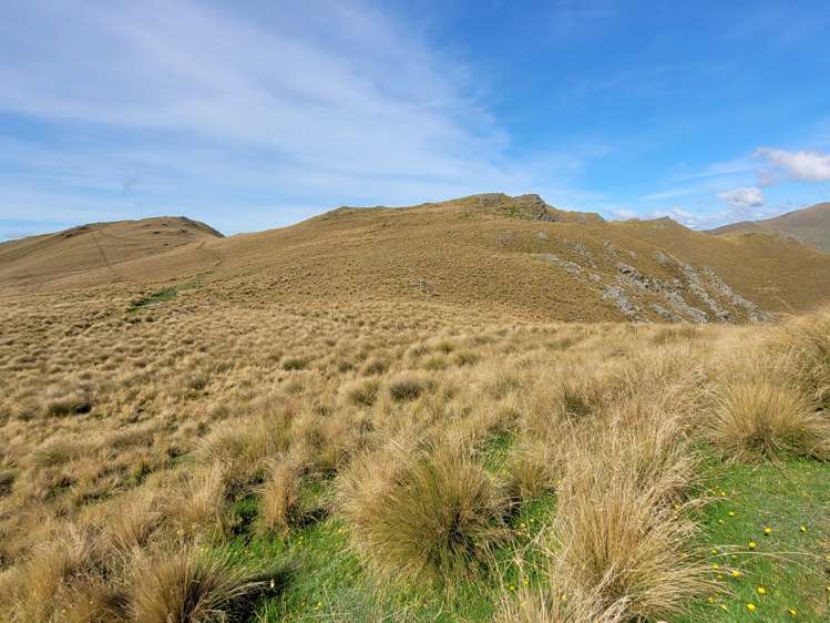 72 Wrights Road Waitaki_12