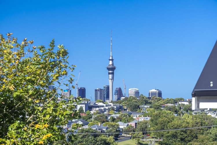 25 Baildon Road Grey Lynn_25