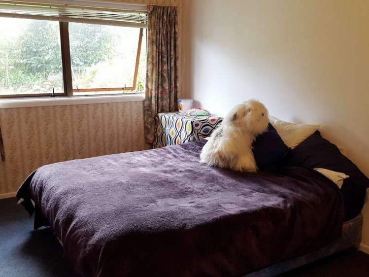 50 Bennett Street Paeroa_17