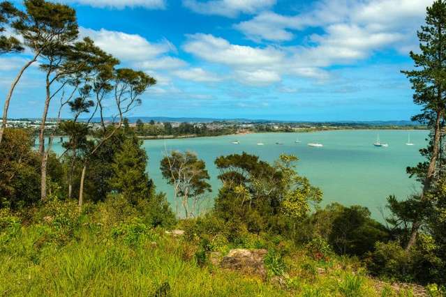 2 Koki Road Greenhithe_3