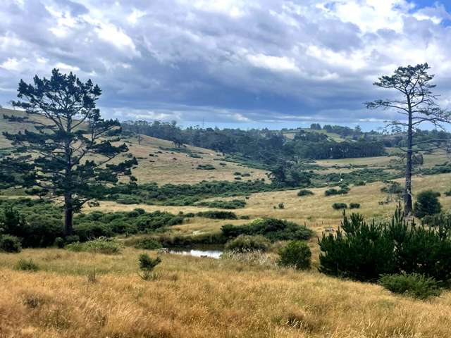 579 Duck Creek Road Stillwater_2