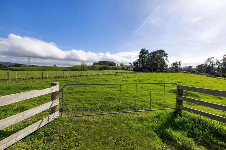 Pirongia Road Pirongia_20