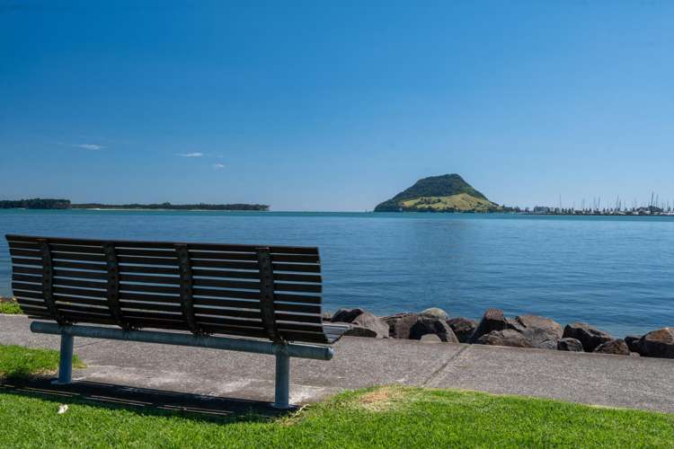 34B Kulim Avenue Otumoetai_20