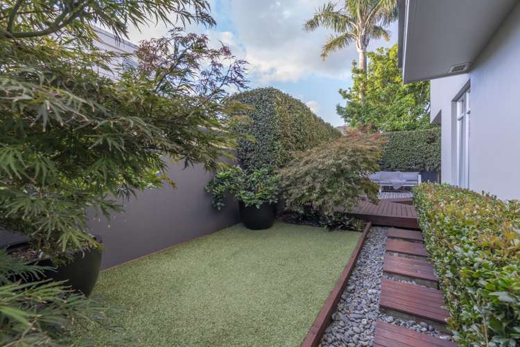 4 Dexter Avenue Mount Eden_7