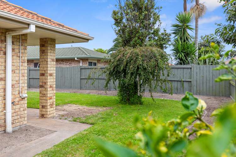 117 Gloucester Road Mount Maunganui_5