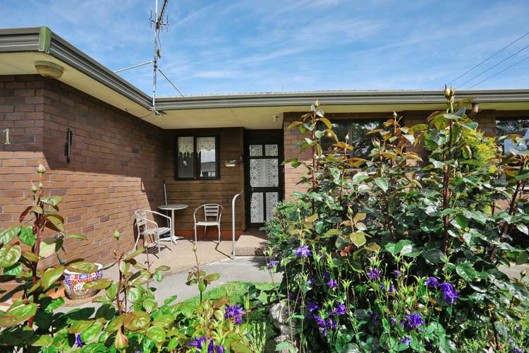 1 Munro Street Waikiwi_3