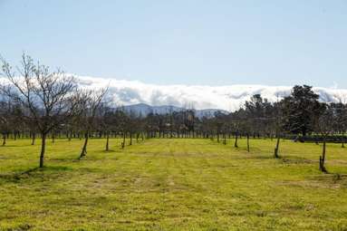 417 Upper Plain Road_4