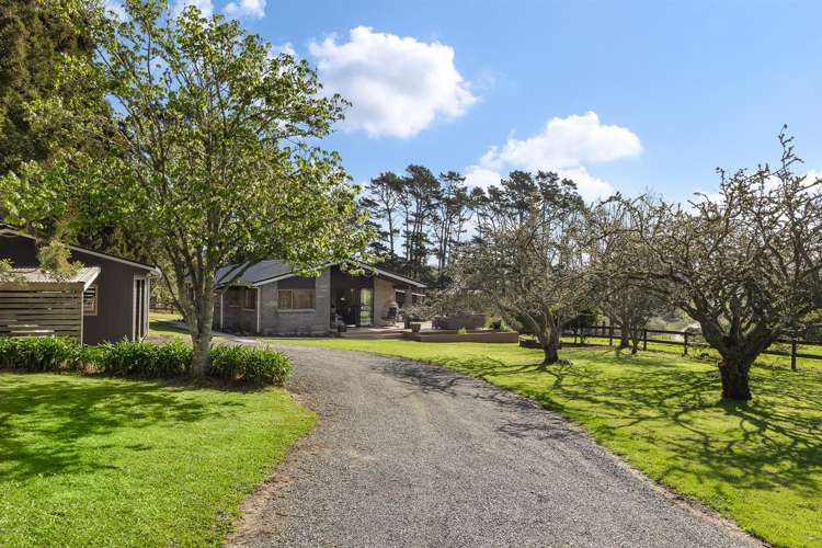 1115 State Highway 16 Waimauku_6