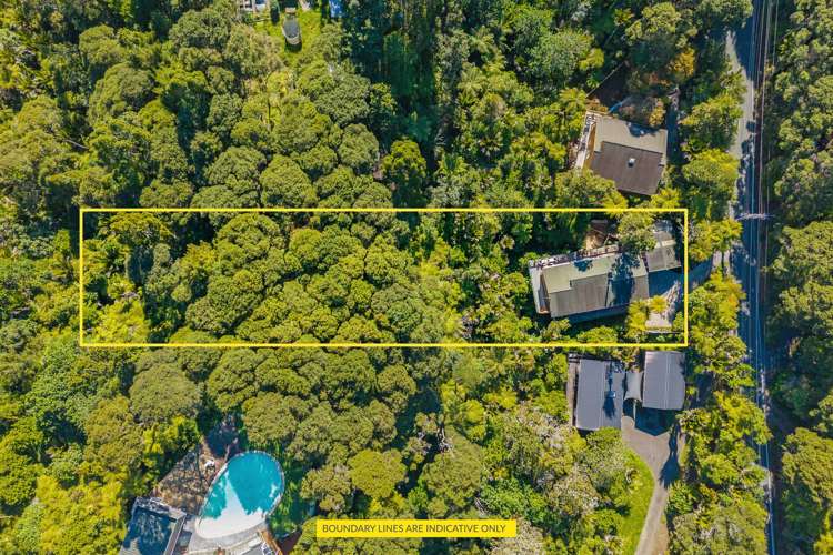 261 Konini Road Titirangi_22