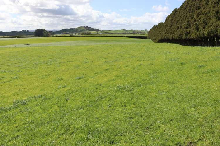 734 Bird Road Pukengahu_29