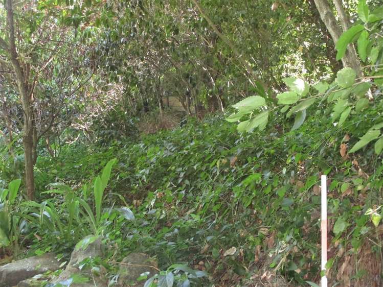 16 Cracroft Terrace Cashmere_20