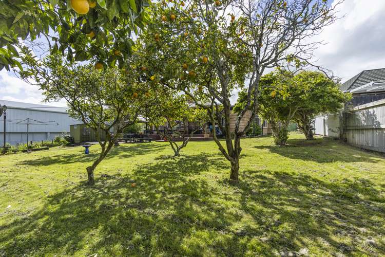 47 Tawhiao Street Te Awamutu_21