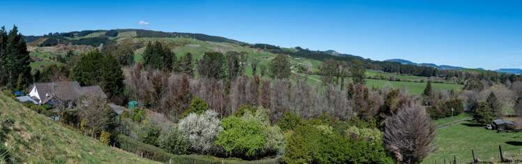 207C State Highway 30 Tikitere_19