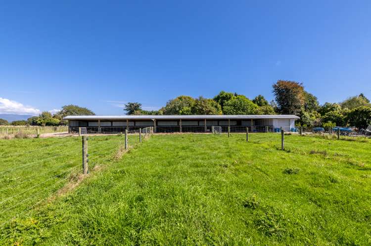 194 Lindsay Road Levin_24