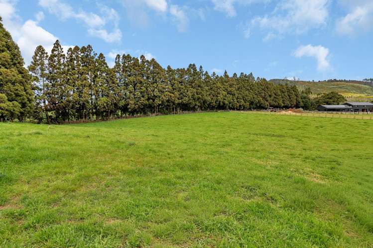 135 Apotu Road Kauri_8