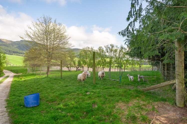 146 Woodside Road Pleasant Valley_5