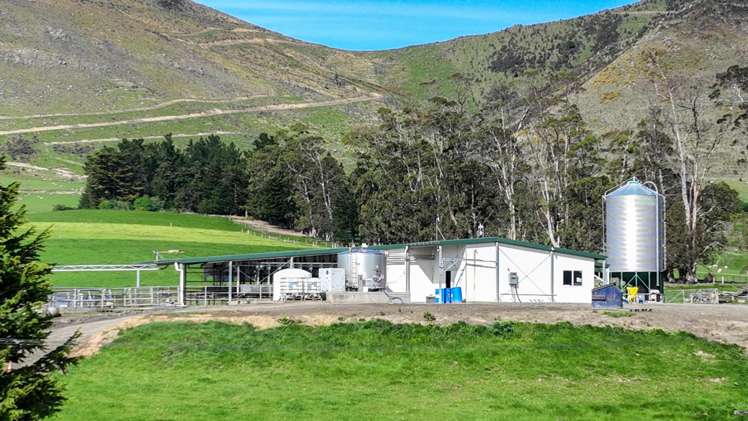 1317 Waimea Valley Road Nine Mile_5