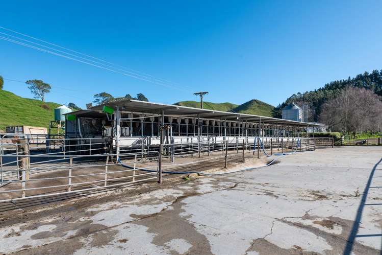 471 Poutakataka Road Ngakuru_4