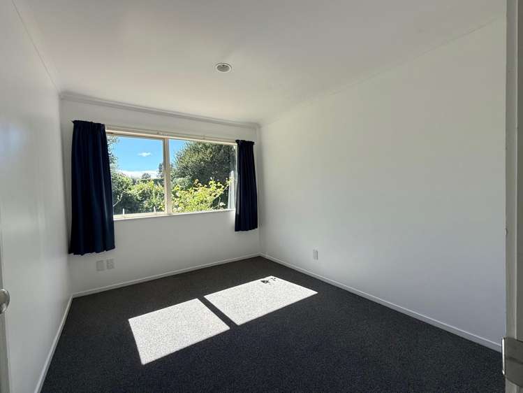 1164 No 3 Road Te Puke_15