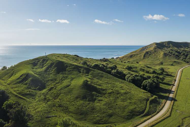 8/3382 Pourerere Road Central Hawkes Bay Coastal_11