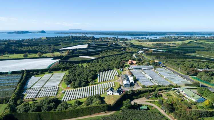 107 Ongare Point Road Katikati_3