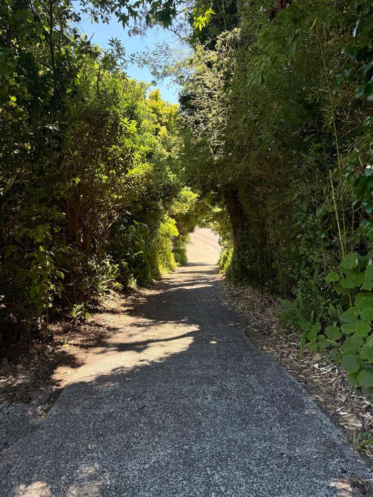 60 Hillcrest Road Whakatane_31