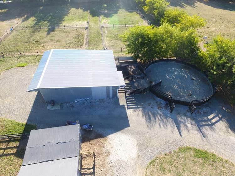 367 Wakefield-Kohatu Highway Wakefield_15