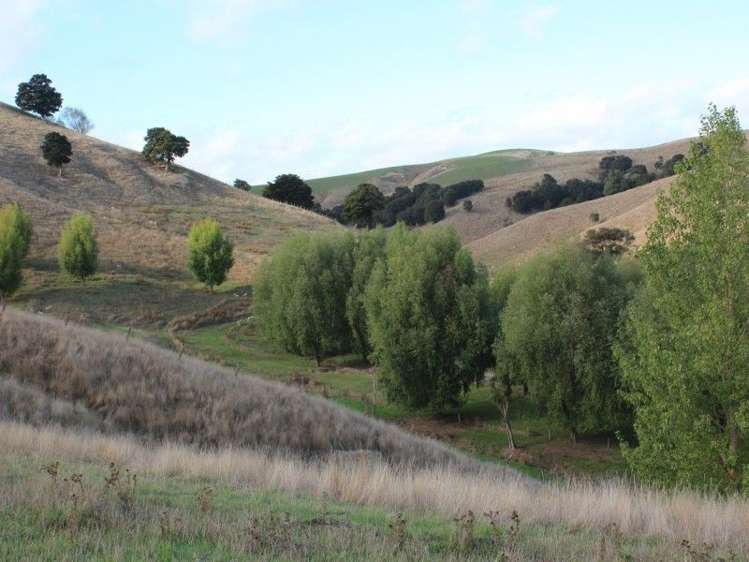 78 Bush Road Central Hawkes Bay Country_11