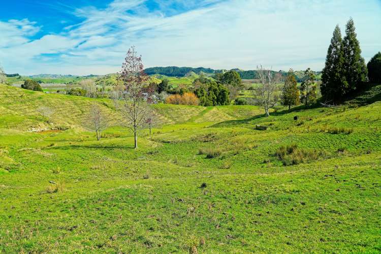 40 Ormond Valley Road Ormond_13