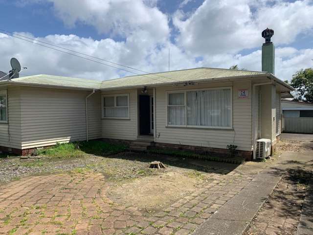 14 Raglan Street Mangere East_1