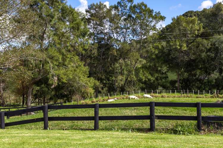 92 Dennis Road Kaipara Flats_25