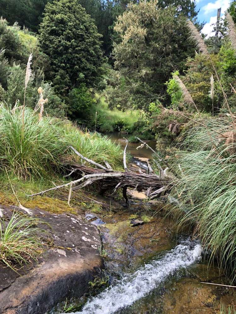 177 Moir Hill Road Warkworth_8