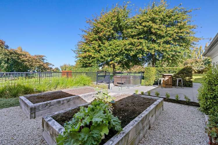 36 Johns Road Belfast_40