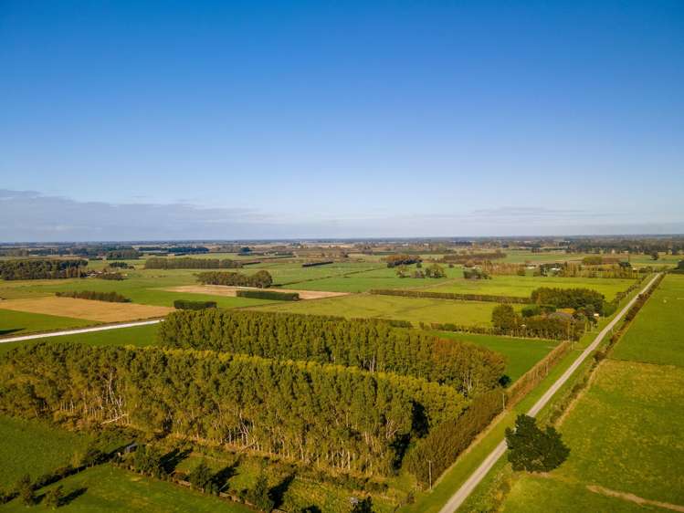 109 Marshalls Road_3