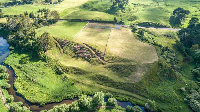 Lot 2 Old Te Aroha Rd Matamata_4