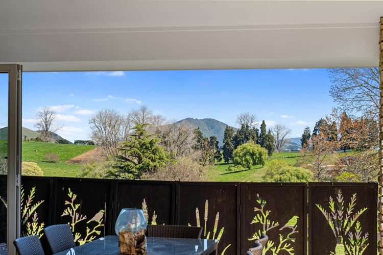 337 Otorohanga Road Te Awamutu_22