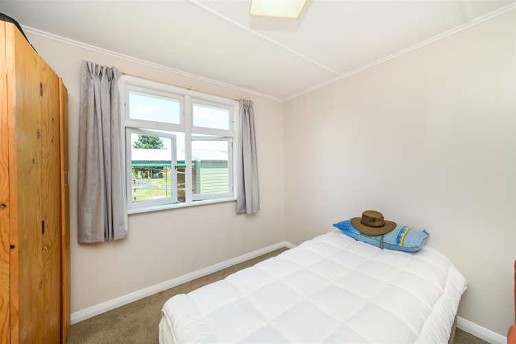 25 Flower Street Bulls_19