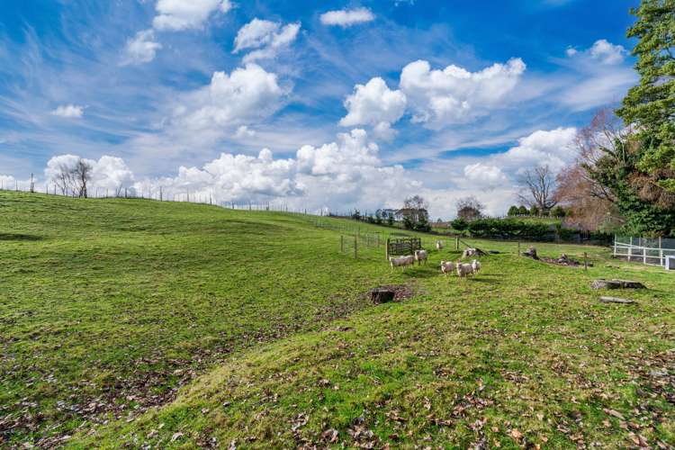 1082 Mapara Road Kinloch_16