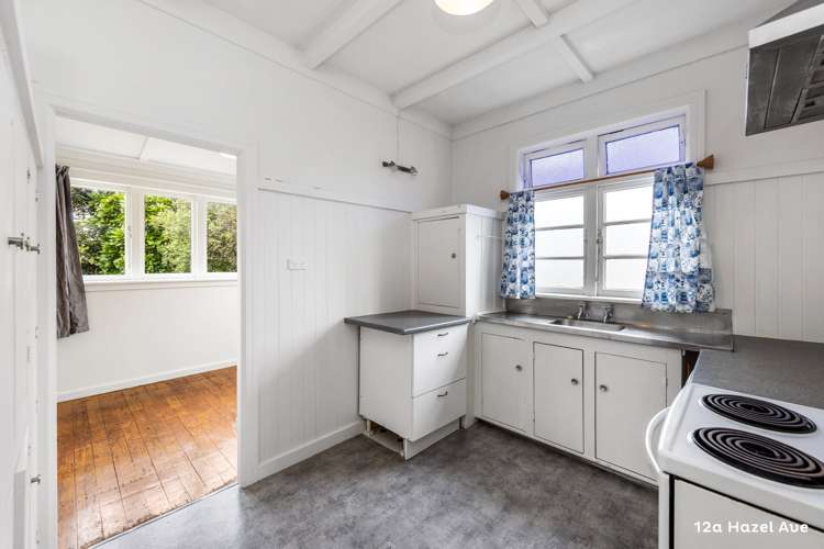 12a Hazel Avenue Mount Roskill_5