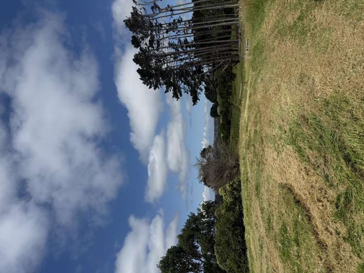 27 Codlin Road Waiuku_6