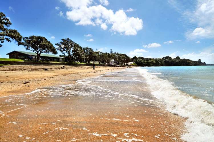 26 Merani Street Narrow Neck_19